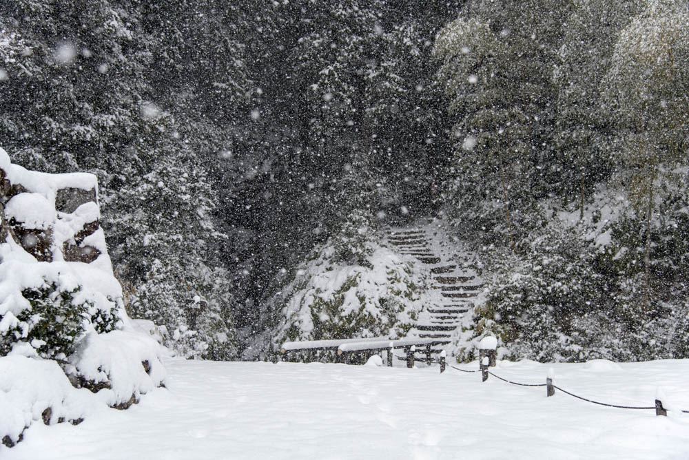 新発見!湖南市の冬景色が美しい「妙感寺・不老の滝」の写真を撮ってきた。
